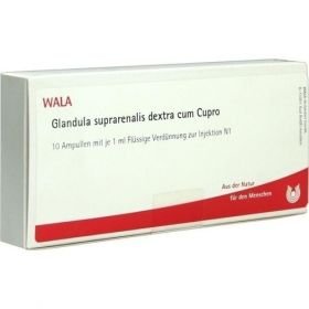 GLANDULA SUP DEX CUM CUPRO, 10X1 ML – PZN 1751518 из Германии