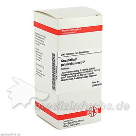 GNAPHALIUM POLYC D 2, 200 ST – PZN 2899536 из Германии