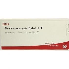 GLANDULA SUPR (COR) GL D 8, 10X1 ML – PZN 3357168 из Германии