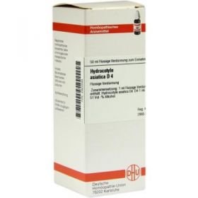 Hydrocotyle Asiatica D 4 Dilution (50 ml) – PZN 2924599 из Германии