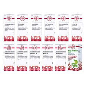 Homöopathische Hausapotheke (12x10 g) – PZN 8100553 из Германии