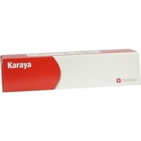 HOLLISTER KAR PASTE 7910, 128 G – PZN 1687915 из Германии