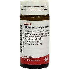 HELLEBORUS NIG E PL TO D12, 20 G – PZN 8786081 из Германии