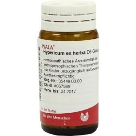 HYPERICUM EX HERBA D 6, 20 G – PZN 8786218 из Германии