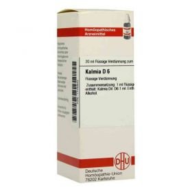 Kalmia D 6 Dilution (20 ml) – PZN 1775832 из Германии