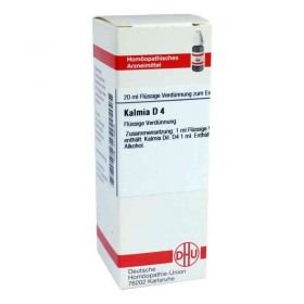 Kalmia D 4 Dilution (20 ml) – PZN 2118929 из Германии