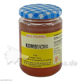 KOMBUCHA TEEPILZ, 1 ST – PZN 1688955 из Германии