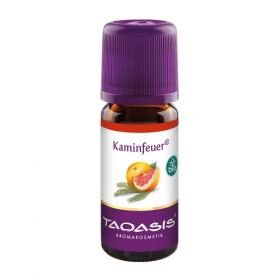 KAMINFEUER OEL, 10 ML – PZN 7346440 из Германии