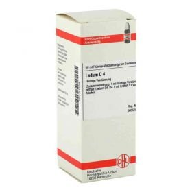 Ledum D 4 Dilution (50 ml) – PZN 2810298 из Германии