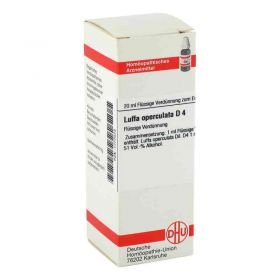 Luffa Operculata D 4 Dilution (20 ml) – PZN 1777073 из Германии
