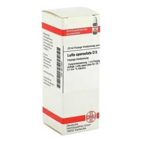Luffa Operculata D 5 Dilution (20 ml) – PZN 2617207 из Германии