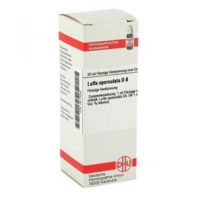 Luffa Operculata D 8 Dilution (20 ml) – PZN 2617236 из Германии