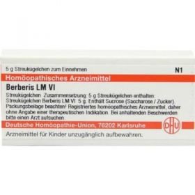 Lm Berberis Vi Globuli (5 g) – PZN 2658790 из Германии