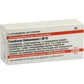LM CAUSTICUM HAHNEMA VI, 5 G – PZN 2658956 из Германии