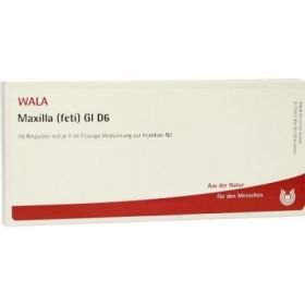 Maxilla Feti Gl D 6 Ampullen (10X1 ml) – PZN 2934497 из Германии