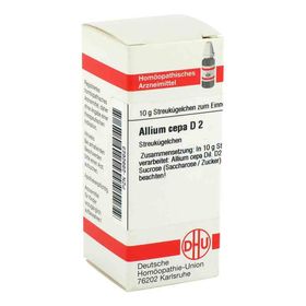 Allium Cepa D 2 Globuli (10 g) – PZN 2892623 из Германии