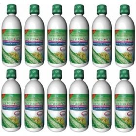 Aloe Vera Saft mit Noni Saft, 12X1 L – PZN 8446043 из Германии