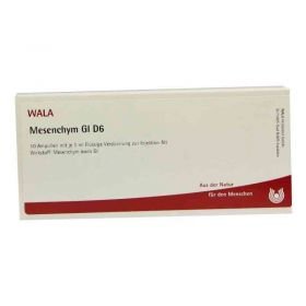 Mesenchym Gl D 6 Ampullen (10X1 ml) – PZN 2829777 из Германии