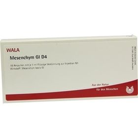 MESENCHYM GL D 4, 10X1 ML – PZN 2829487 из Германии