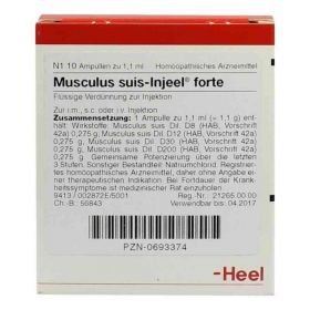Musculus suis Injeel forte Ampullen (10 stk) – PZN 693374 из Германии