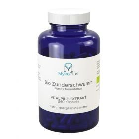 MykoPlus Bio Zunderschwamm Vitalpilz-Extrakt, 240 ST – PZN 12739710 из Германии
