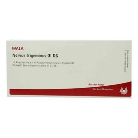 Nervus Trigeminus Gl D 6 Ampullen (10X1 ml) – PZN 2830160 из Германии