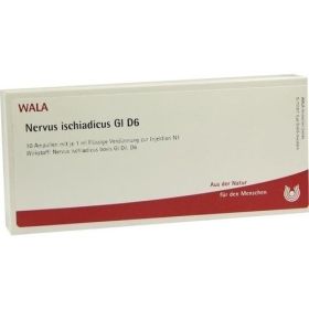 NERVUS ISCHIADICUS GL D 6, 10X1 ML – PZN 2830645 из Германии