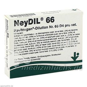 NEYDIL Nr.66 Revitorgan Dil.D 4 pro Ampullen vet., 5X2 ML  – PZN 6488014 из Германии
