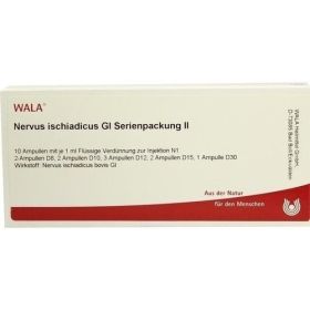 Nervus ischiadicus Gl Serienpackung II, 10X1 ML – PZN 846754 из Германии