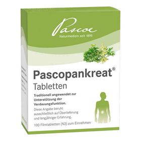 Pascopankreat (100 stk) – PZN 1590630 из Германии