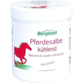 Pferdesalbe kühlend, 300 ML – PZN 4709155 из Германии