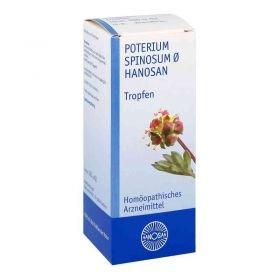 Poterium Spinos. Urtinktur D 1 (100 ml) – PZN 174266 из Германии