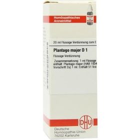 Plantago Major D 1 Dilution (20 ml) – PZN 2619985 из Германии