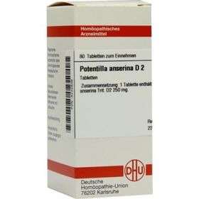 Potentilla Anserina D 2 Tabletten (80 stk) – PZN 4232836 из Германии