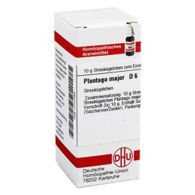 Plantago Major D 6 Globuli (10 g) – PZN 7177463 из Германии