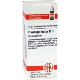 PLANTAGO MAJOR D 3, 10 G – PZN 4232204 из Германии