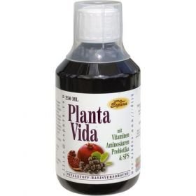 Planta Vida, 250 ML – PZN 8925499 из Германии