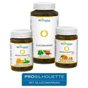 ProSilhouette Programm, 1 P – PZN 11638450 из Германии