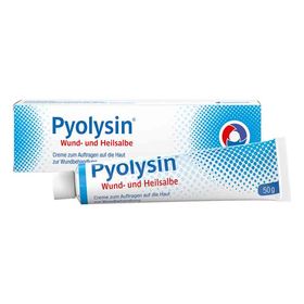 Pyolysin Wund- und Heilsalbe (50 g) – PZN 13725911 из Германии