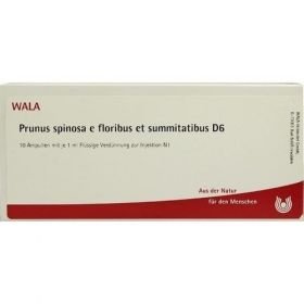 PRUNUS SPI E FLO ET SU D 6, 10X1 ML – PZN 2830355 из Германии