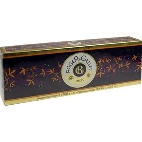 R&G GINGEMBRE SEIFENCOFFRET, 3X100 G – PZN 6338177 из Германии