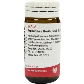 PULSATILLA E FLORIBUS D 6, 20 G – PZN 8787212 из Германии
