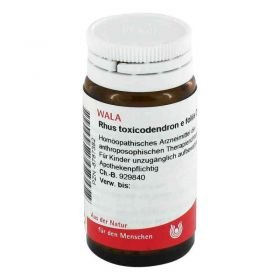 Rhus Tox. E Fol. D 12 Globuli (20 g) – PZN 8787382 из Германии