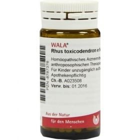 RHUS TOX E FOLIIS D 6, 20 G – PZN 8787376 из Германии