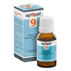 Apopet Schüssler-salz Nummer 9  Natrium phosphoricum D  6 veteri (12 g) – PZN 11685691 из Германии