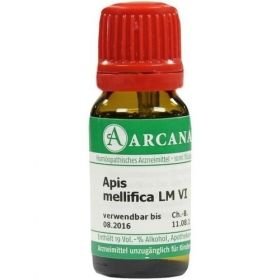 APIS MELLIFICA ARCA LM 6, 10 ML – PZN 2600632 из Германии