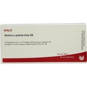ARNICA E PLANTA TOTA D 6, 10X1 ML – PZN 2830415 из Германии