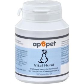 ApoPet Vital Hund, 100 ST – PZN 5382503 из Германии