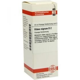 Ribes Nigrum D 2 Dilution (20 ml) – PZN 7179048 из Германии