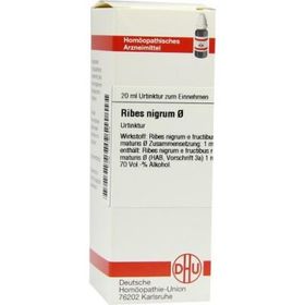 Ribes Nigrum Urtinktur (20 ml) – PZN 7179054 из Германии